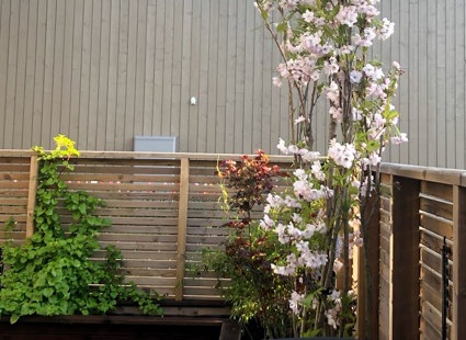 Uteromsprisen Platting Terrasse Pergola Spiler1