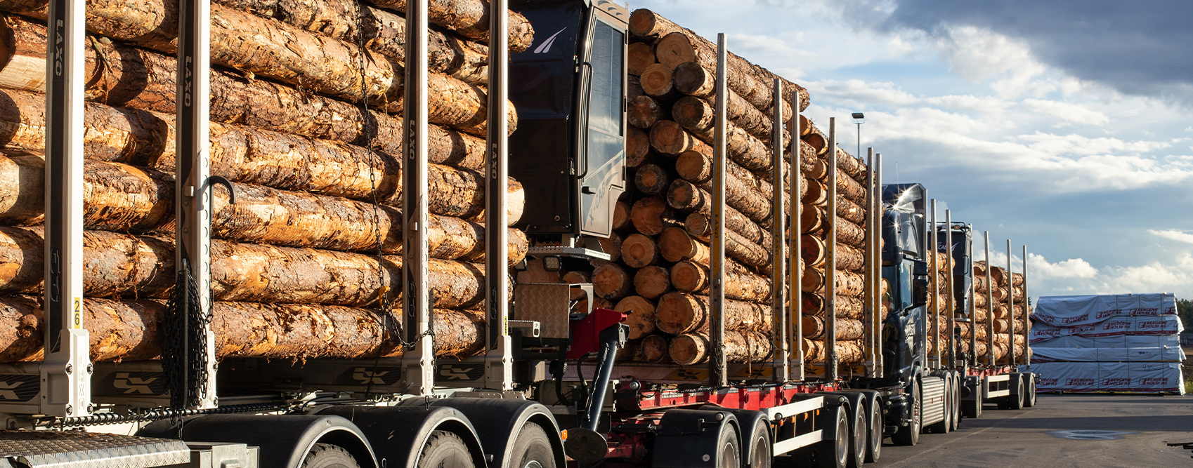 Bilde av tømmertransport